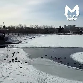 Два необычных явления сняли в Иркутске — солнечное гало и ледяной круг на реке