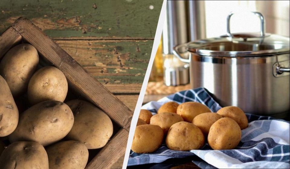 Как сохранить картошку в идеальном состоянии на полгода