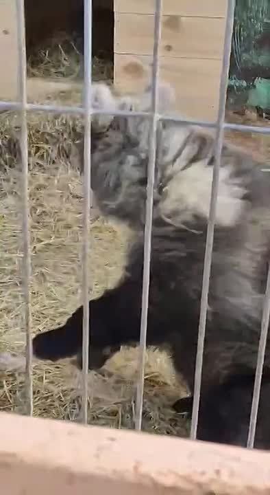 ������� �����������, ��� ����� ����� ������, ���� �� ��� ������� �� �����