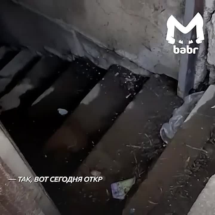 Ледоход в отдельно взятом дворе показывают нам иркутяне