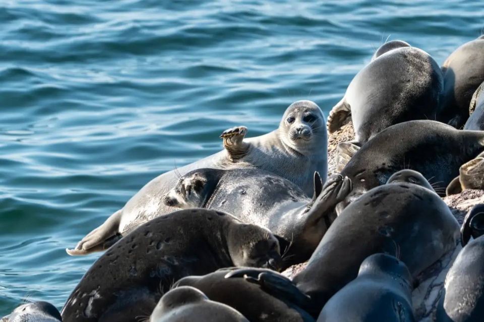 ������ ����!. ������� � ���������� ������������ ���������� ����������, ������� ��������� ������ ����