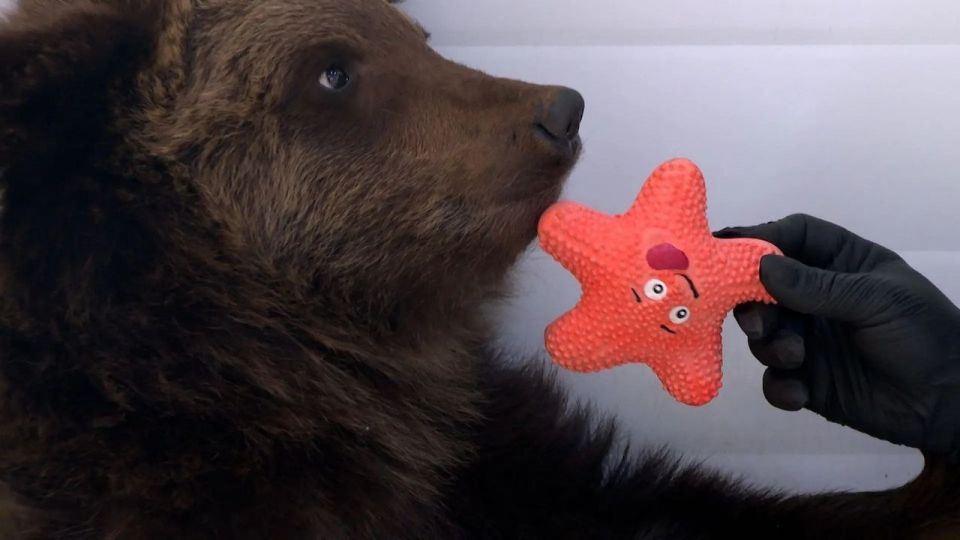 ���������� �� ������ ������� ���������� ���������� � ��������� ��������� ��-9�