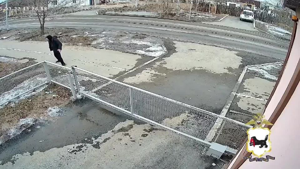 Это оно. Что? Весеннее обострение