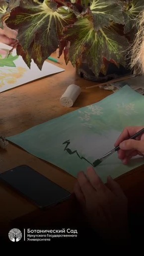 Необычным местом для занятий воспользовались участницы программы «Активное долголетие»: на курсе «Искусство и творчество» иркутянки учились рисовать растения с натуры в оранжереях Ботанического сада ИГУ