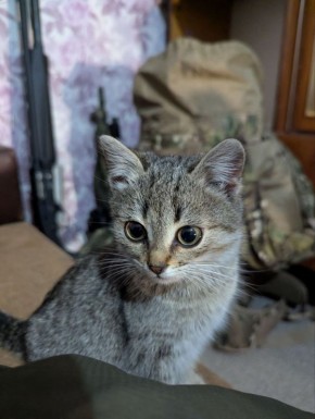 ������� ���� �������� � ����� ��������� �����, ����������� �������� ������ ����������!