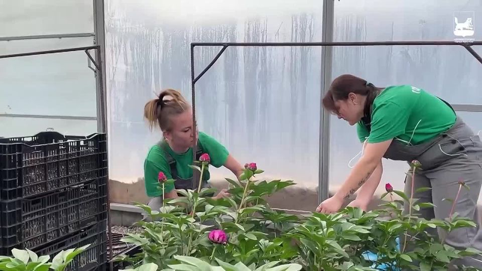 ������ �������: ��������� �������� ������� ��� ���������: � �������� ������ ������������� ������� ���������� �����