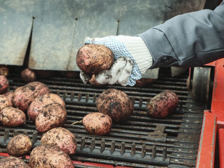 �������� � ��� ����������? ����� ������� �� ����� ������