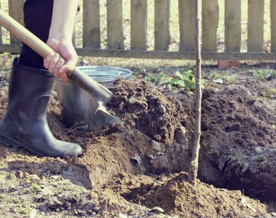 ������ ����� � ������ ����� ��� ������� �������� ��������