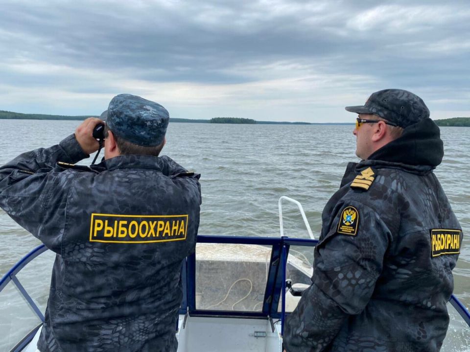 ��������� ��������� ������ �� ������������� �������� � �����������