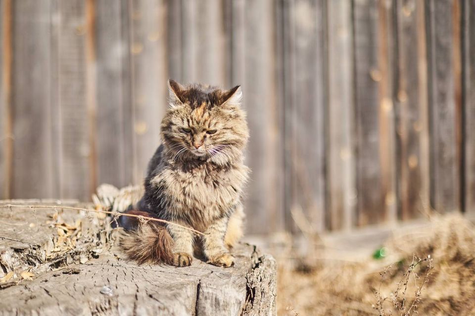 ������ ����!. ������, ���� ������ � ����� ��������