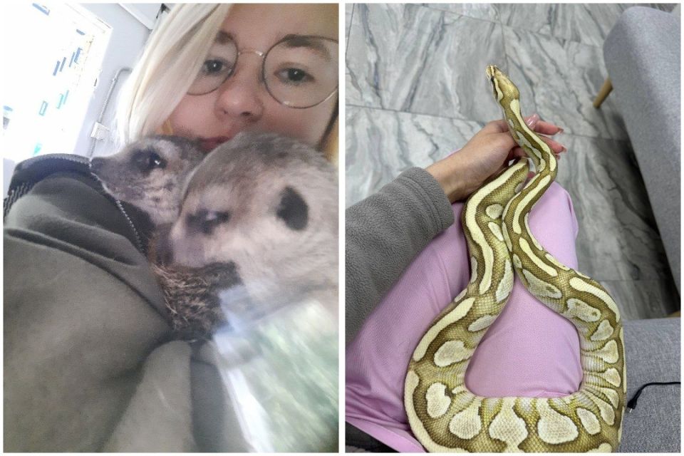 «Едят мидии и креветки чаще меня»: сибирячка держит в квартире 30 змей, ящериц и мадагаскарских тараканов