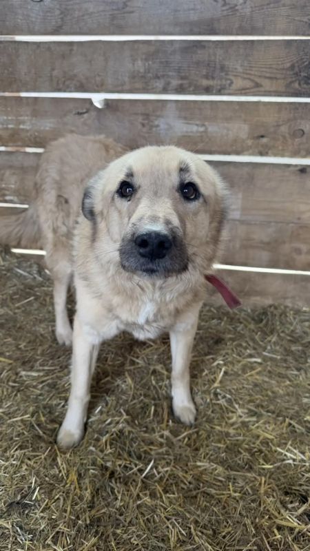 � �������� ����� ����� ���������� ������� �� �������� ��������� � �������