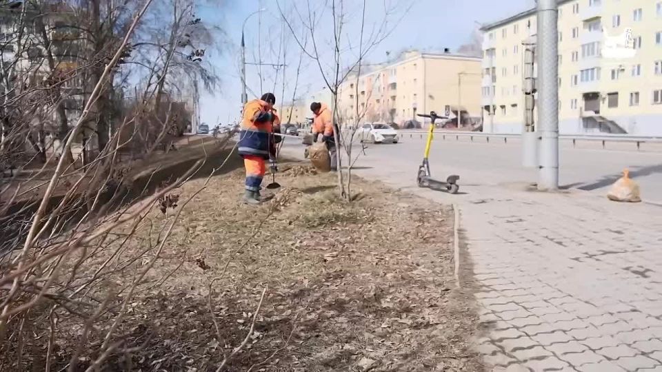 ������ �������: ��������� �������� ���������� �������, ��������������� � ���������� ������