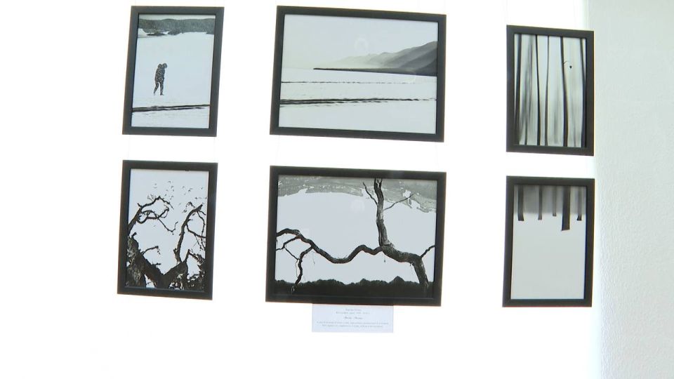 ������������ ��������. ������������ ������������ ������� ����� ��������� � ��������� ��������� ����������� ������ ����� ������� ������