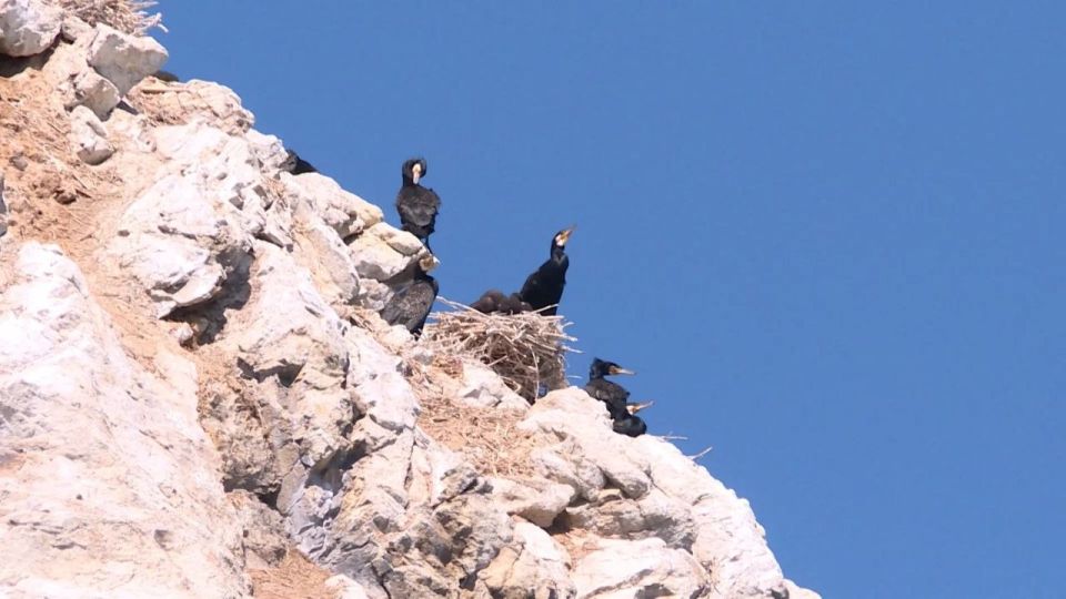 ���� �� ���������� ����������� �������� ��������� � ��������� �������