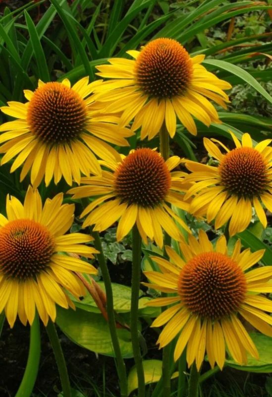 �������� � ��������: � ��� ������ �������� � ��������