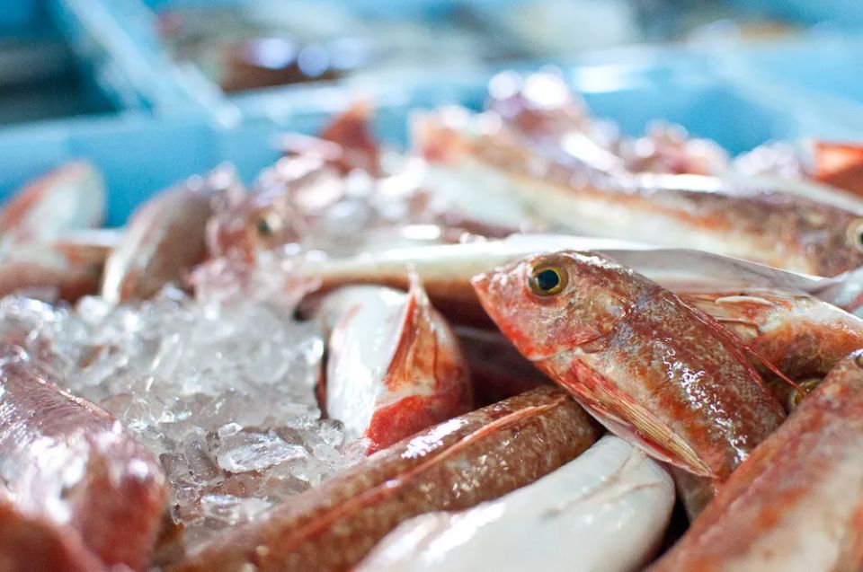 ��� �������� ������ ���������: �������� ������� ���������� �������������� ������