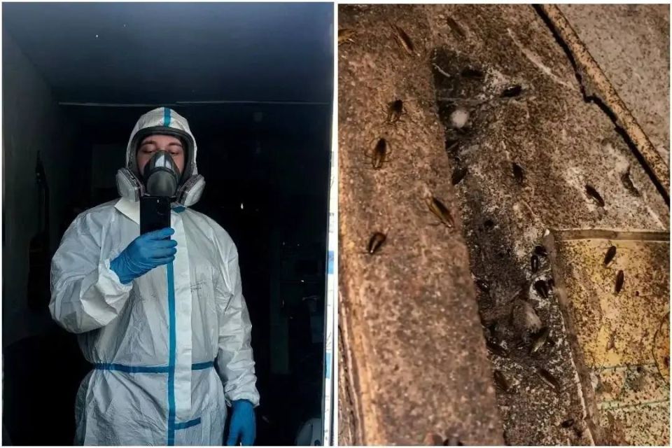 ���� ��������� ���� � ���������� � ������� � �����: ����������� ������ ������� ����� ����� ������