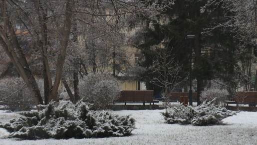 ������ ���������� � ��������� ������� � ��������