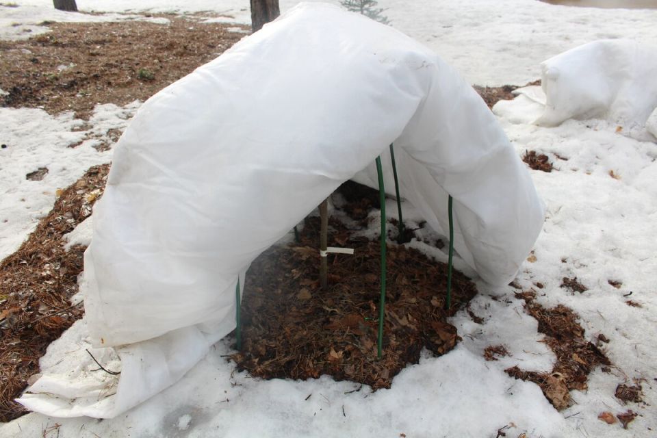 ������� ��������: ������� ��������� ��������