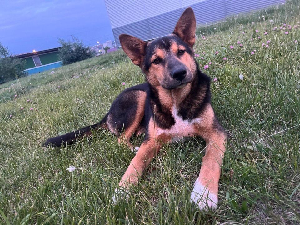 137 ������� ��������� � ��������������� �� ��������� ������ �� ���������� ��������