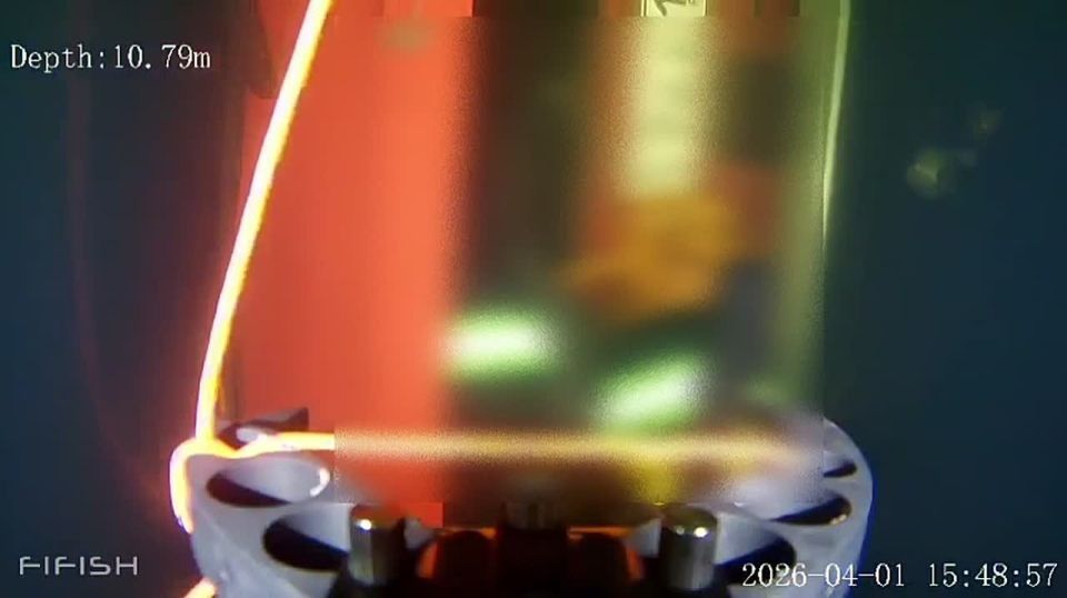 ���� �������, ��������� �� �������� �������������, ��������� ��������� ����