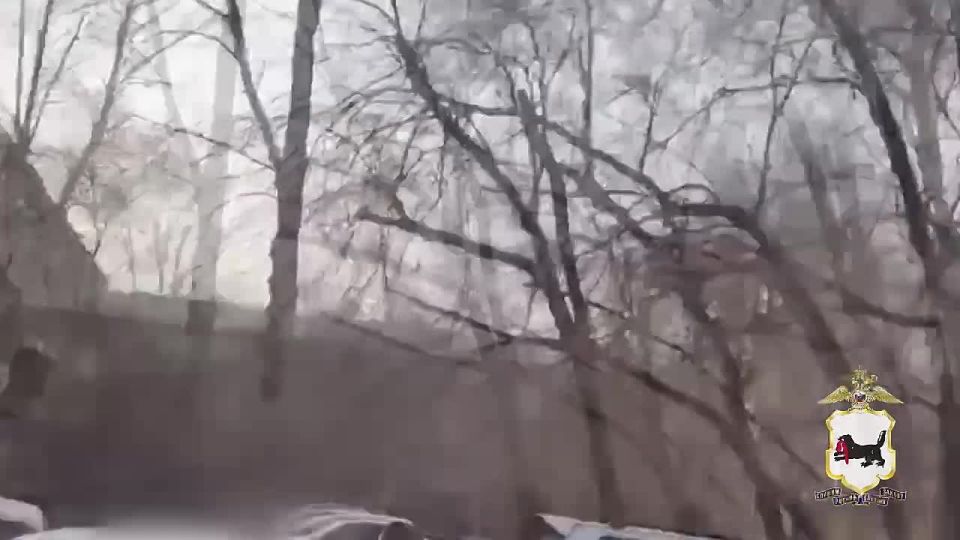 ����������� ������������ 81-������ ��������� ��������� � ��������� �������