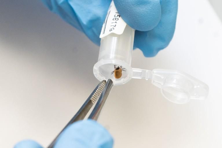 � ��������� ������� 23 �������� ���������� �� ������ ������