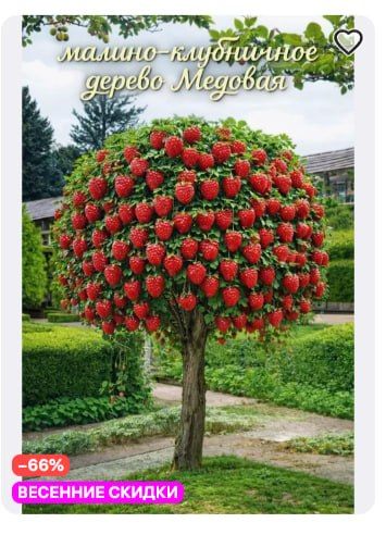 � ����� � ���������� � ������� ������