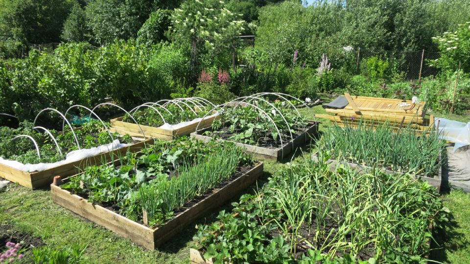 ������ � �������: ��� ���������� ������������� ����� ��� �����