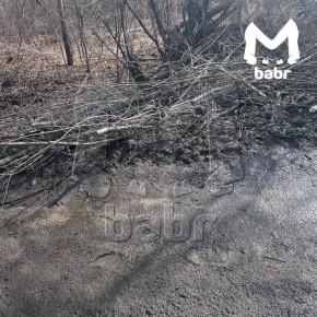 �� �������� ������ ����� �������� ������ ����� � ��������