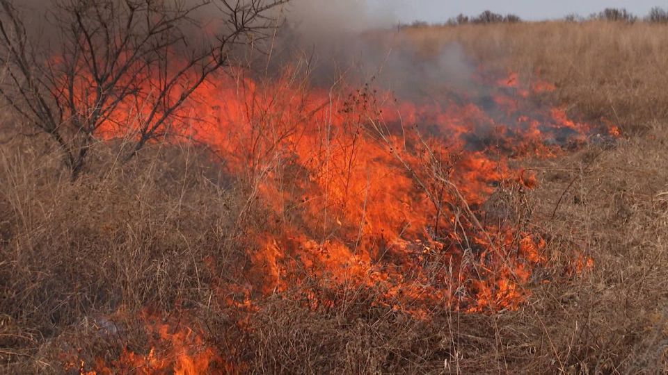 �������������� ������ ����� �������������� ��� ������ ��������� �������� � �����������