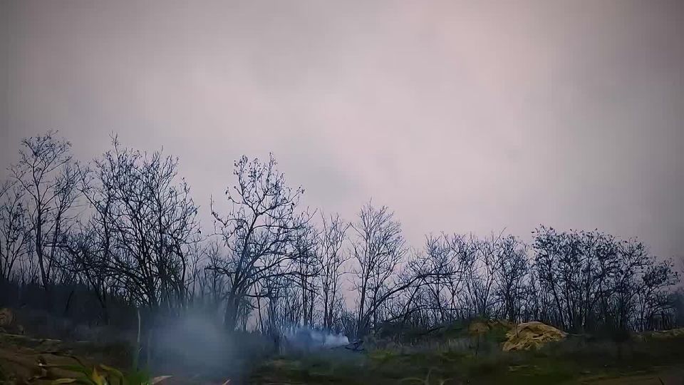 ������ ����� ����� � ��������� � ������������� ������� ������� �������� ��-�� ��������������� ������