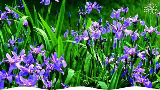 ��������� ����� ������, ������� ������ ���� ���������� ���������