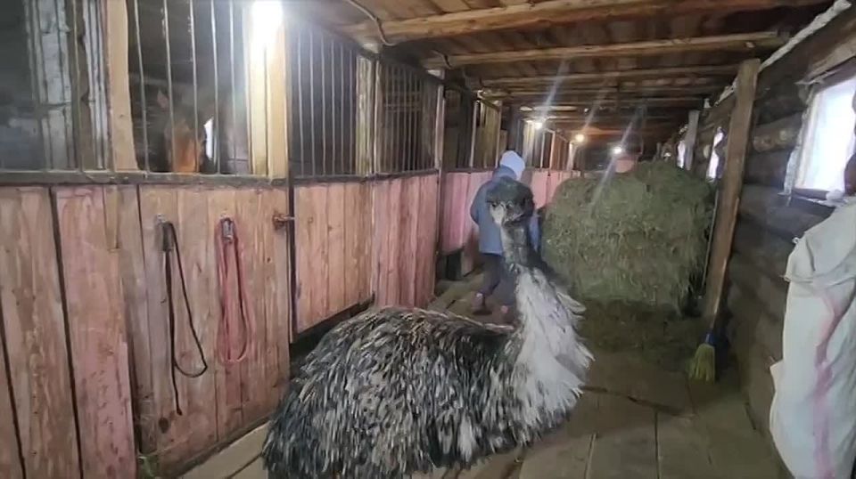 �������� ���� ������� � �����