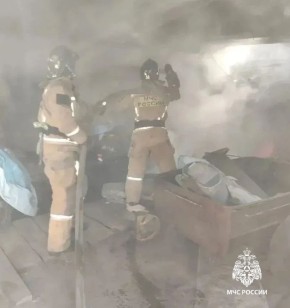 � ����������� �� �������� �����: