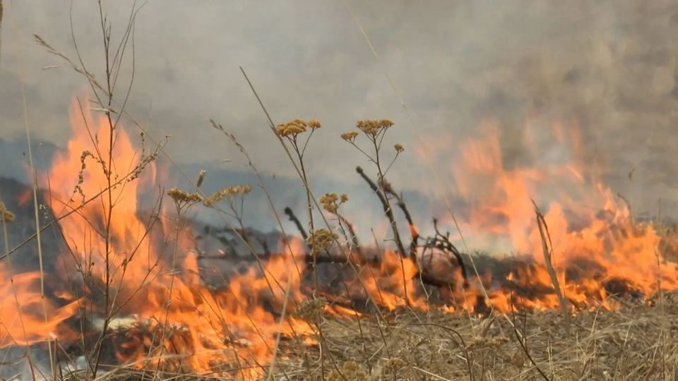 ����� 340 �������� �������� � ����� ������ ��������� ������ ������ � ��������