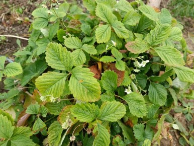 ������ �� ������� ������������� � �������: ��� ��������� ������ ��� ������ ������