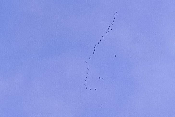 ����� � ���������� ��������