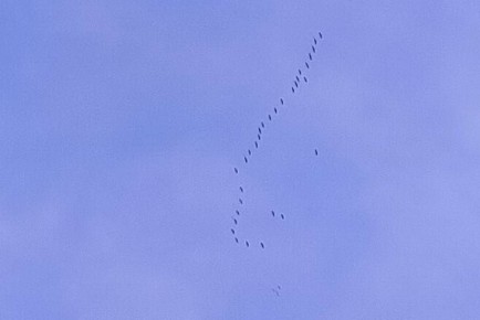 ����� � ���������� ��������