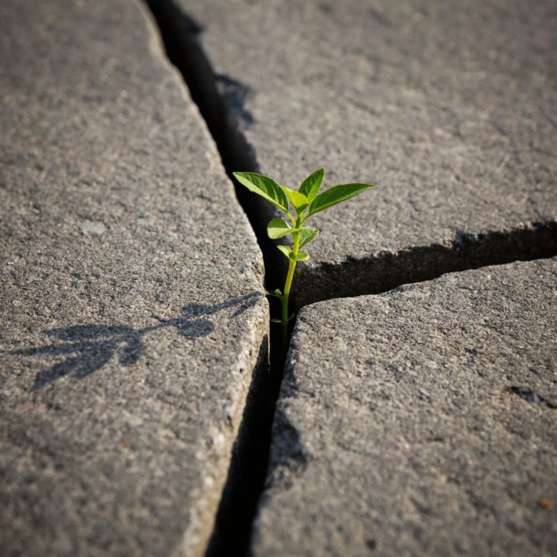 ����� ��� ��������� ���������: ��������� ����� ���������� �����