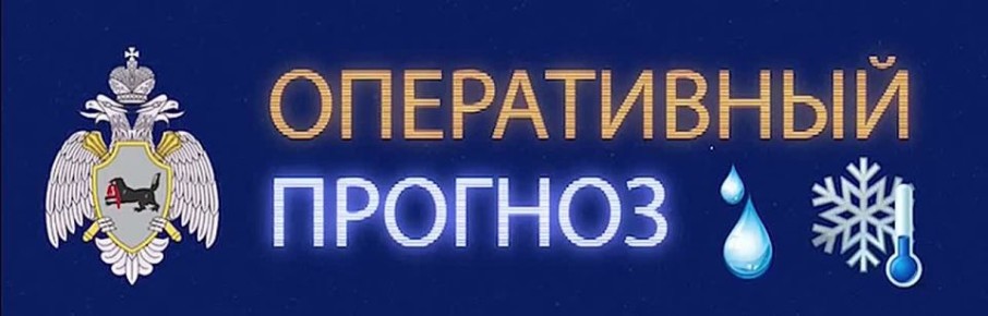 Предупреждение о неблагоприятных метеорологических явлениях погоды