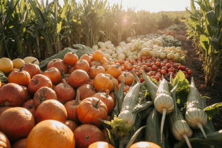 ����������� ������ ������ � ���: �������� ������� ��� �����