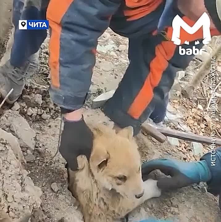 ����� ������ �� �������� ������� � ���� � ����� ������� � ����� � ���� �� ������