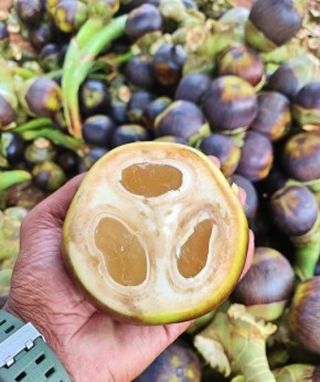 �����: ������������ ����� �� ������ ���