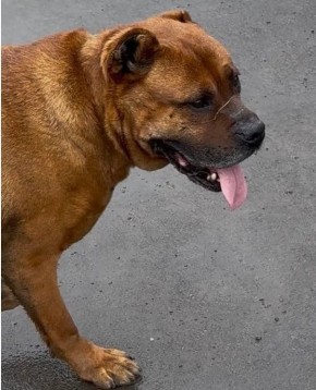 ������� ������� ��������. 7 ������ � ���������� �������� ����� ����������� ���