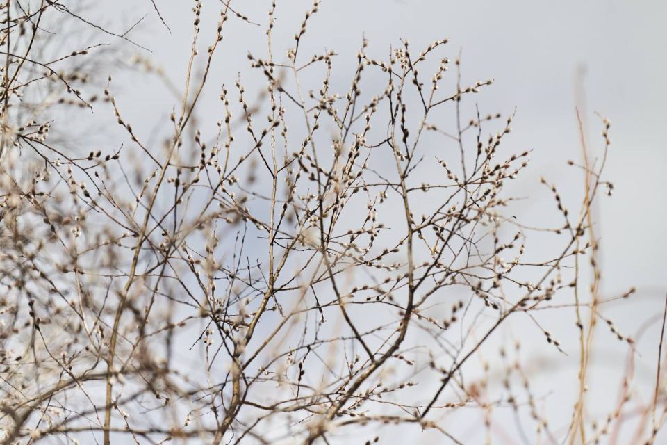 ������ ����!. ������� ����� ������� �������: ���� ������� ��������, ������� ������� �����