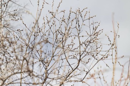 Доброе утро!. Вторник будет немного мрачным: небо затянет облаками, местами пройдет дождь