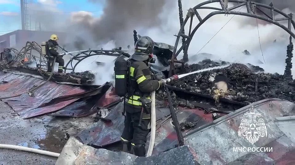 �������� ����� ����� �������� �������