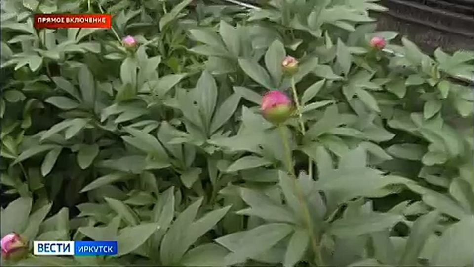 ������ ���������: � ��������� ������������ ������� ��������� �����